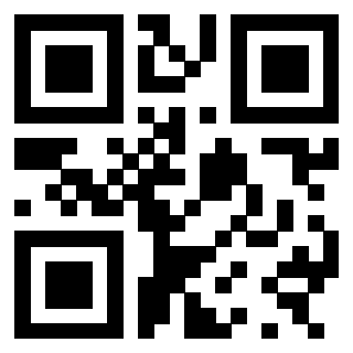3300878570 - Immagine del Qr Code associato