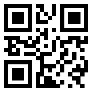 3300878781 Qr Code associato