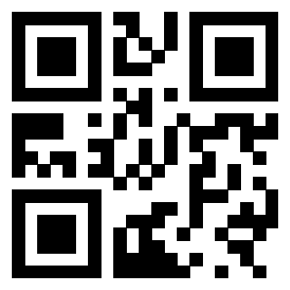 3300878787 - Immagine del QrCode