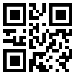 3300878788 - Immagine del Qr Code