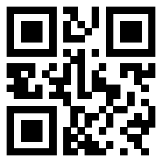 3300878981 - Immagine del QrCode associato