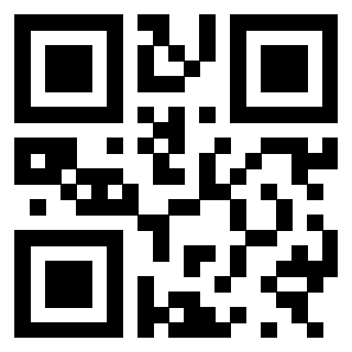 3300879013 - Immagine del QrCode