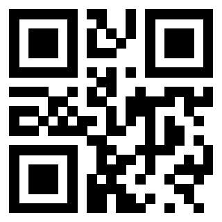 3300884875 - Immagine del Qr Code associato