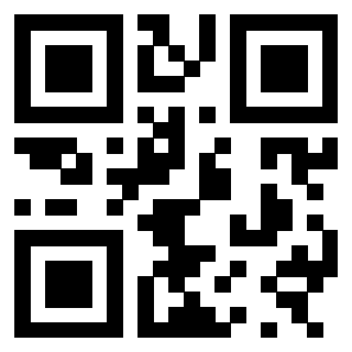 3300884936 - Immagine del QrCode