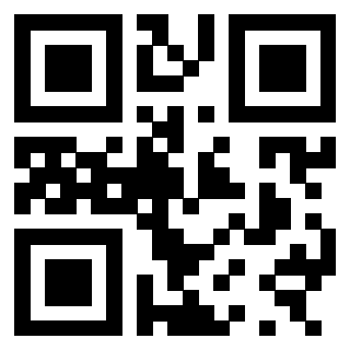 3300884970 - Immagine del Qr Code associato