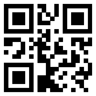 3300884974 Qr Code associato