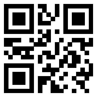 3300885038 - Immagine del Qr Code associato