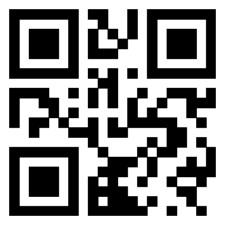 3300885041 - Immagine del QrCode