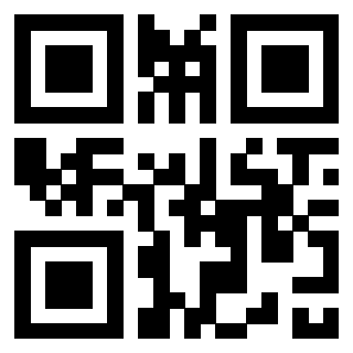 3300885137 - Immagine del QrCode