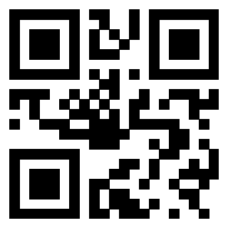 3300885173 Qr Code associato