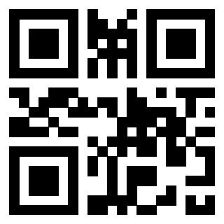 3300885256 - Immagine del Qr Code associato