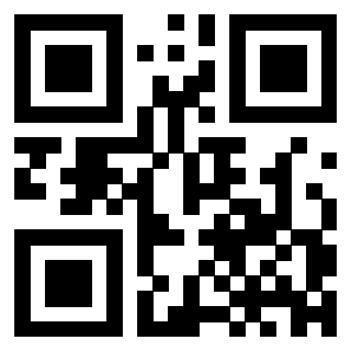 3300885313 QrCode associato