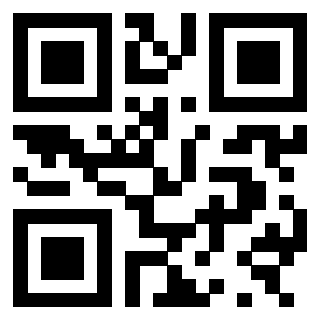 3300885685 - Immagine del Qr Code associato