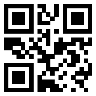 3300885800 Qr Code associato
