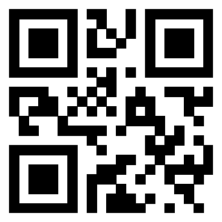 3300929536 - Immagine del QrCode associato
