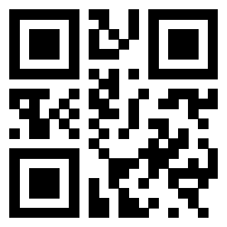 3300929685 - Immagine del QrCode