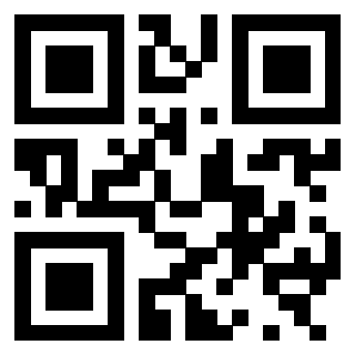 3300929725 - Immagine del QrCode