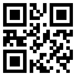Il Qr Code di 3300929733