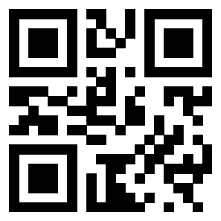 Il Qr Code di 3300929931