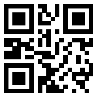 3300930030 QrCode associato