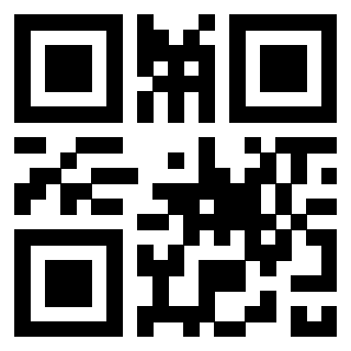 Il Qr Code di 3300942862