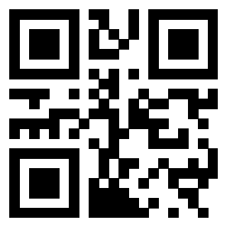 3300943232 - Immagine del QrCode