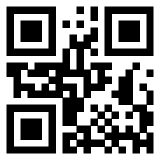 Il Qr Code di 3300943328