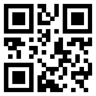 Il Qr Code di 3300969729