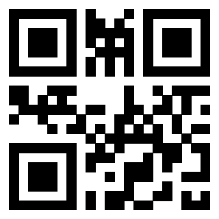 Il Qr Code di 3300969851