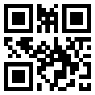 3300969865 Qr Code associato