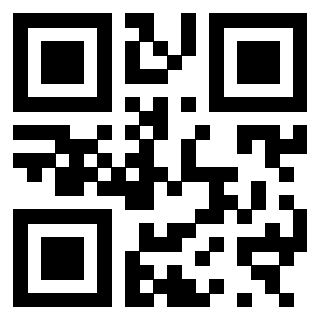 3300969904 - Immagine del QrCode