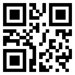 Il Qr Code di 3300969921