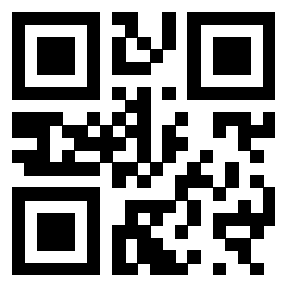 3300969969 - Immagine del QrCode associato