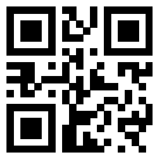 3300969971 - Immagine del Qr Code associato