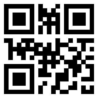 3300970019 Qr Code associato