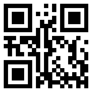 Il Qr Code di 3300970034