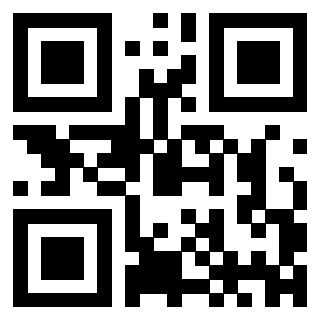 3300970049 QrCode associato