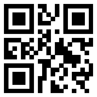 3300970101 - Immagine del QrCode