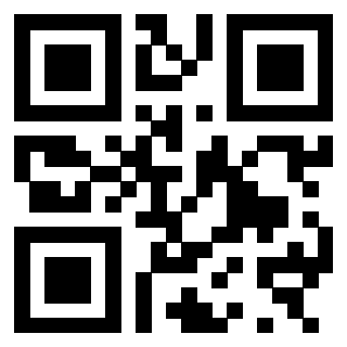 3300970124 QrCode associato