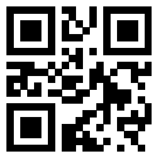 3300970125 - Immagine del QrCode