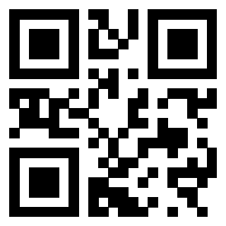 3300970138 QrCode associato