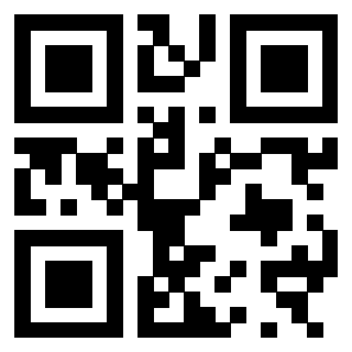 Il Qr Code di 3300970202