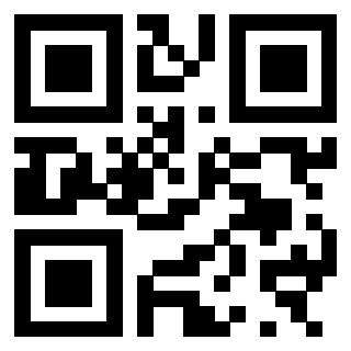 Il Qr Code di 3300970241