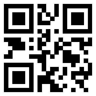 3300970253 - Immagine del QrCode