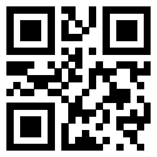 Il Qr Code di 3300970281