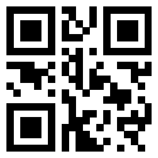 3300970313 Qr Code associato