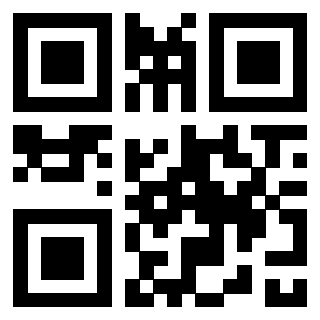 Il Qr Code di 3300970337