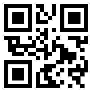 3300970384 - Immagine del QrCode