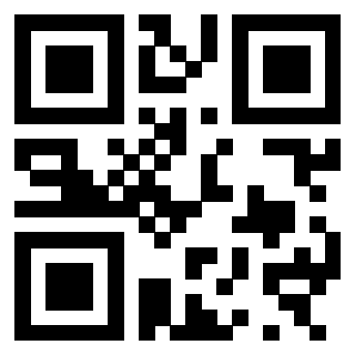 Il Qr Code di 3300970393