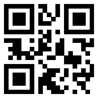 3300970453 - Immagine del Qr Code associato